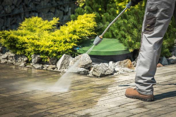 Best Brick and Stone Cleaning in Arcola, VA